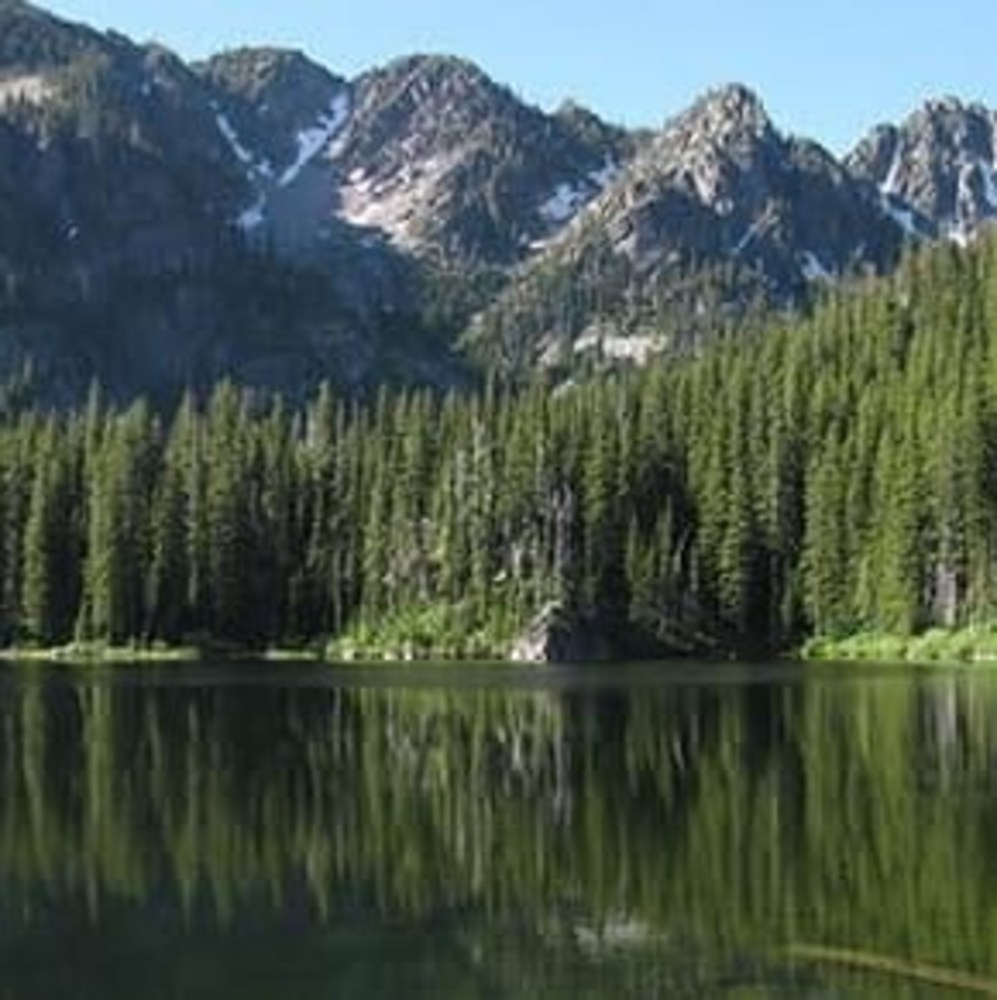 Meet your Posher, Jojo